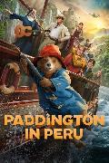 Paddington in Peru